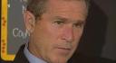 bushreaction000.jpg