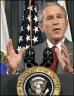 26cnd-bush184.jpg