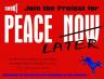peace-laterpreview.jpeg