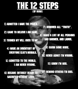 Twelve Steps for Congress