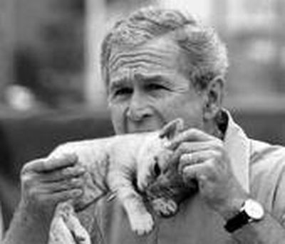 idiot george bush