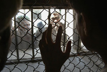 Senate Dems Introduce “Restoring The Constitution Act” For Detainee Rights
