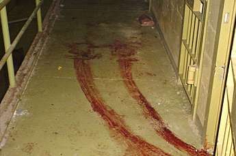 Cheney, Gonzales, Rice blocked closing of Guantanamo