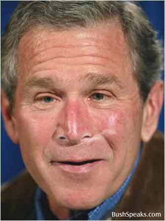 ‘Impeach Bush’ Movement ‘Spreading Like Wildfire’