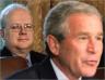rove-780073.jpg