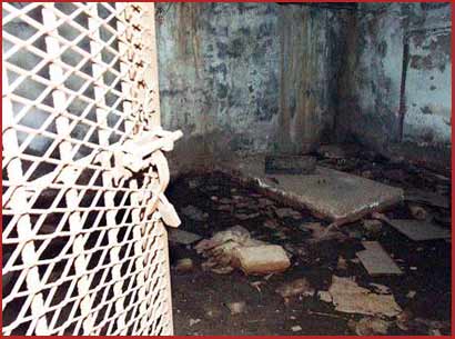 Advisers to U.S. Agencies Criticize Interrogation Methods