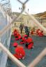 060216_gitmo_vlrg_4awidec.jpg