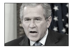 American Conservative blogger: ‘Bush to be a Dictator?’