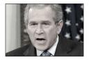 immigration_support_13067.jpg
