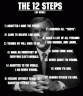 12steps-product-image.gif