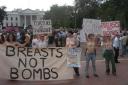 breasts.jpg