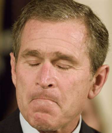 US Congress to Retake Trade Authority From Bush