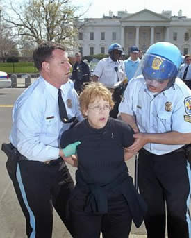 White House Manual Details How to Deal With Protesters