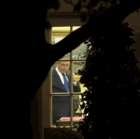 Judge Made Secret Ruling Against Key Element Of Bush Wiretapping