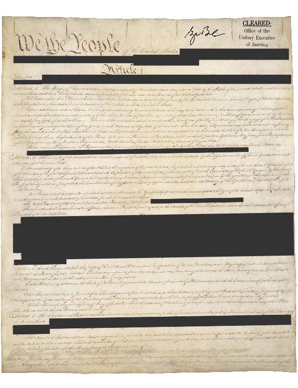 redact-2.jpeg