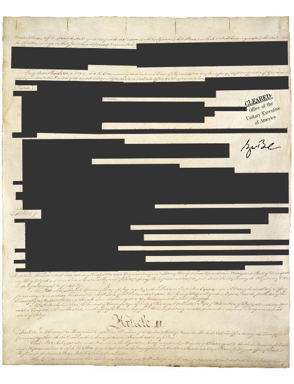 redact-3.jpeg