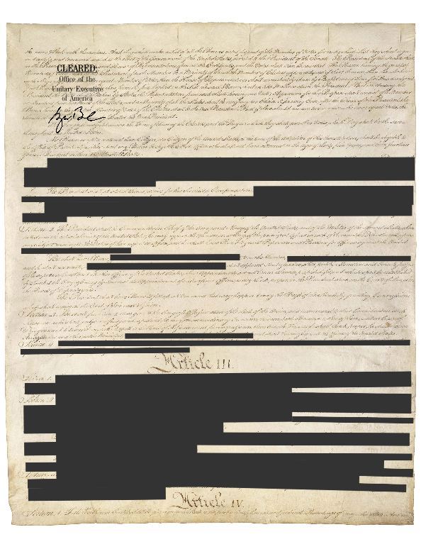 redact-4.jpeg