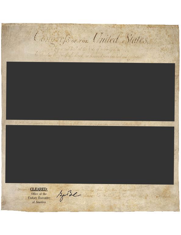redact-6.jpeg