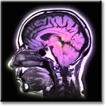 Pentagon hides 20,000 troop brain injuries