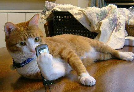 US now allowing feds to track Americans by cell phone