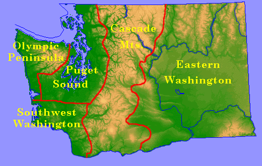 WA State Democrats Renew Bush Impeachment Effort