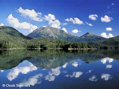 Bush Proposes Plan to Allow Logging in Alaskan Forest