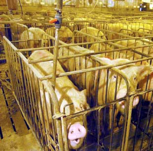 EPA Seeks to Exempt Farms From Emissions Rules