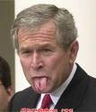  Bush Ratings Worst Ever, So Why’s This Turkey Still President?