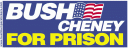 bushcheneyprison.gif