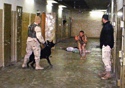 Bush failed War on Terror strategies questioned as term ends