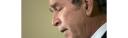 r-bush-huge.jpg