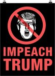 1st Impeach Trump Rally Held in GA